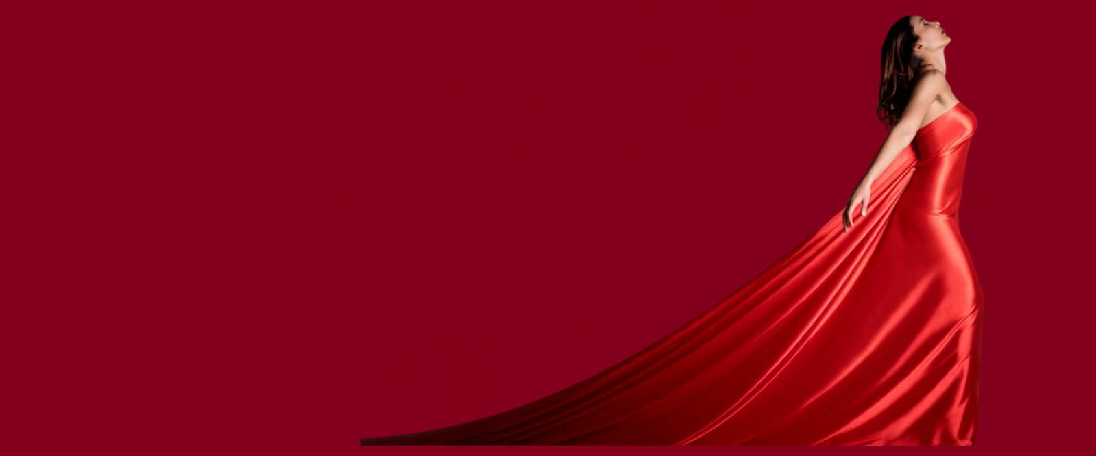 Shevaly fashion banner